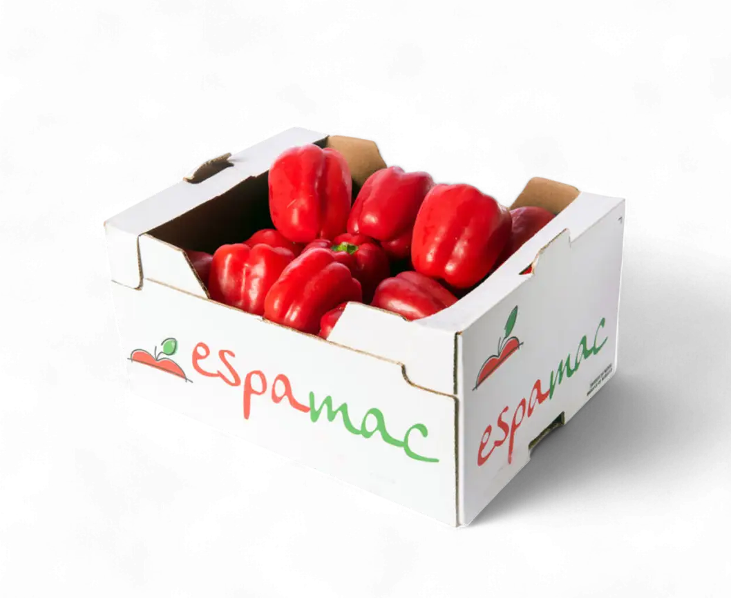CAPSICUM RED BOX (5kg)