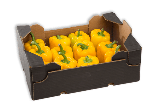 CAPSICUM YELLOW BOX