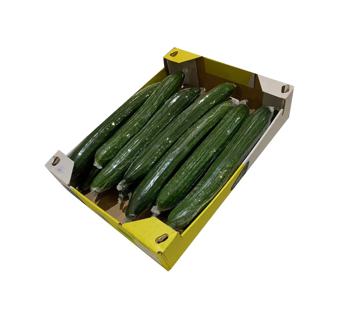CUCUMBER BOX