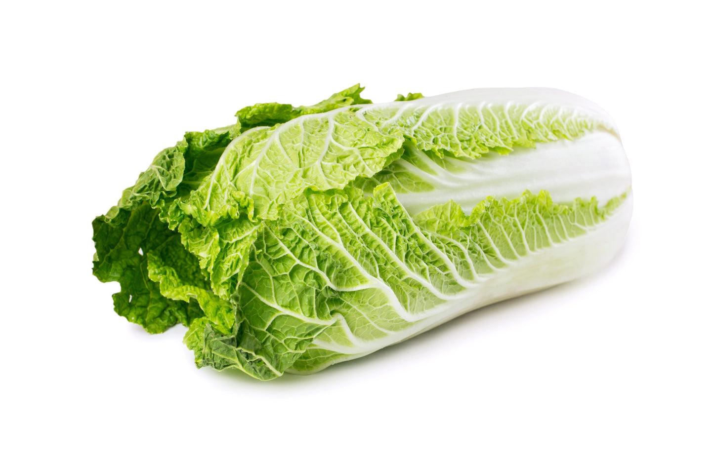 CHINA LEAF