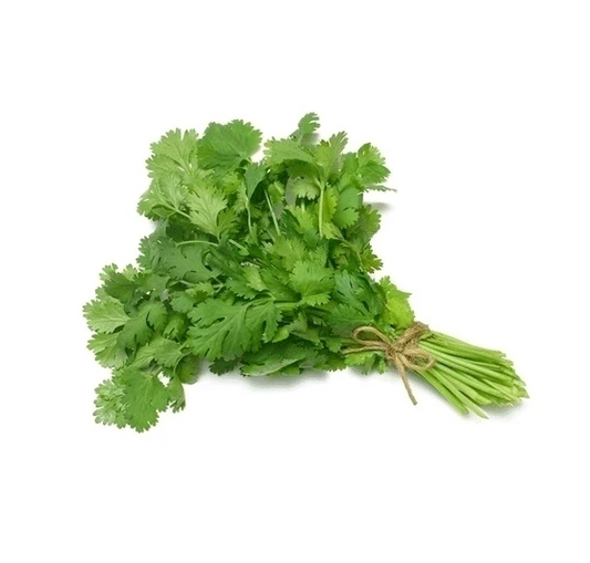 DHANIA/ CORIANDER