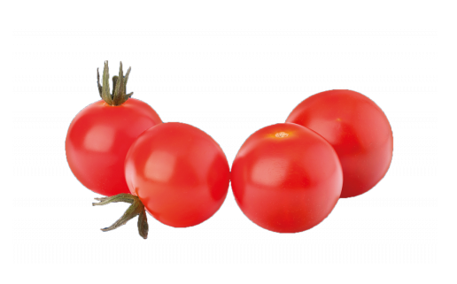 TOMATO DUTCH