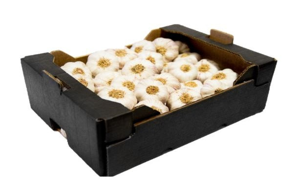 GARLIC BOX 7KG