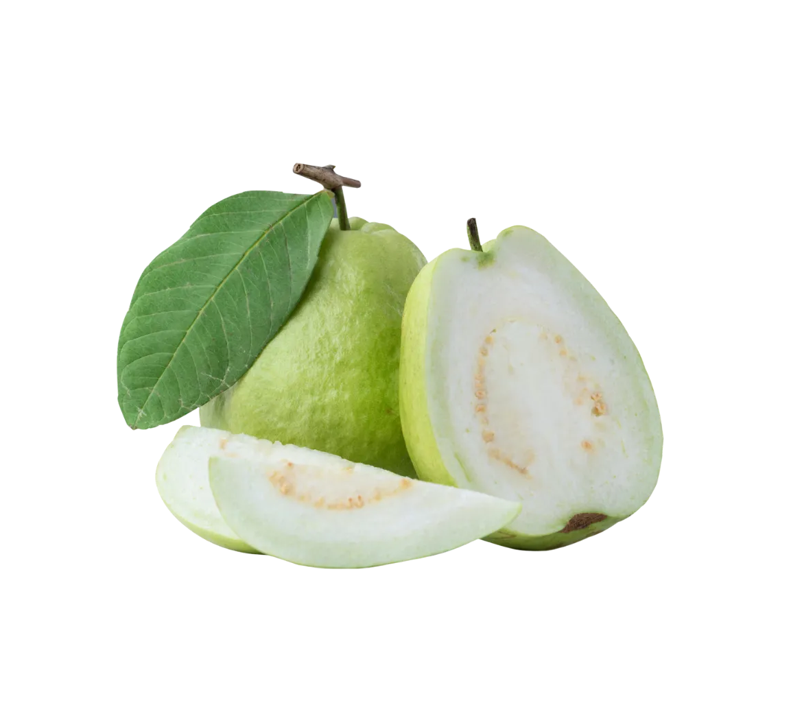 GUAVA THAI
