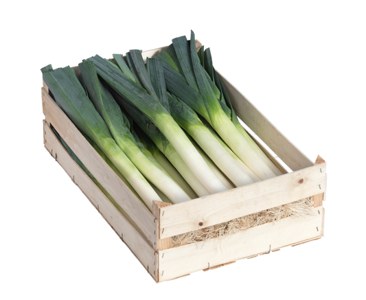 LEEK BOX
