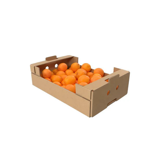 NARDACOTT BOX