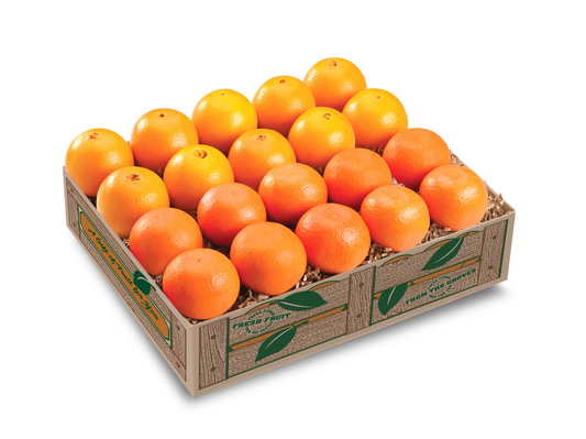 ORANGE BOX