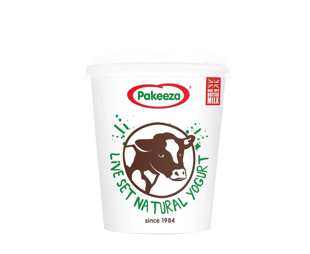PAKEEZA LIVE SET NATUR YOUGURT 425G