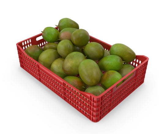 RAW MANGO BOX