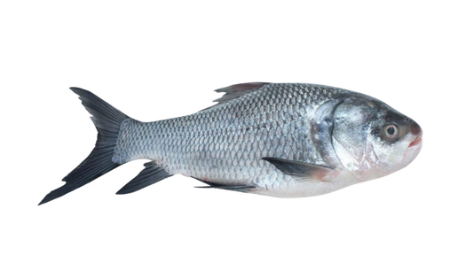 RUHU BANGLA PER KG