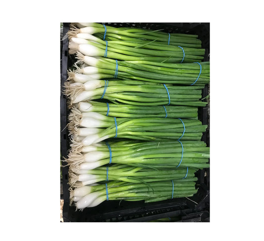 SPRING ONION BOX 14 BUNCH - Kashmir Watan Foodstores