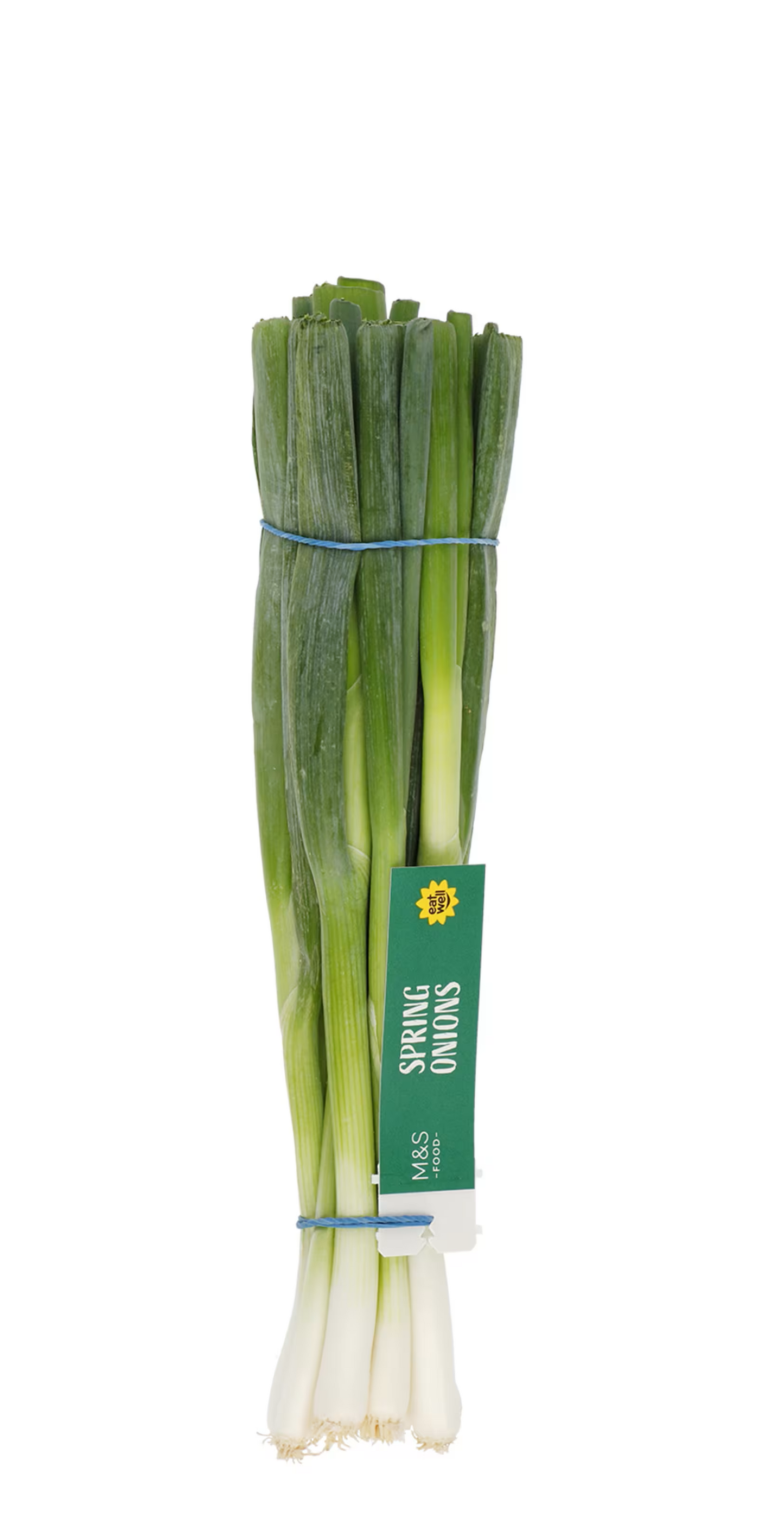 SPRING ONION PKT 12