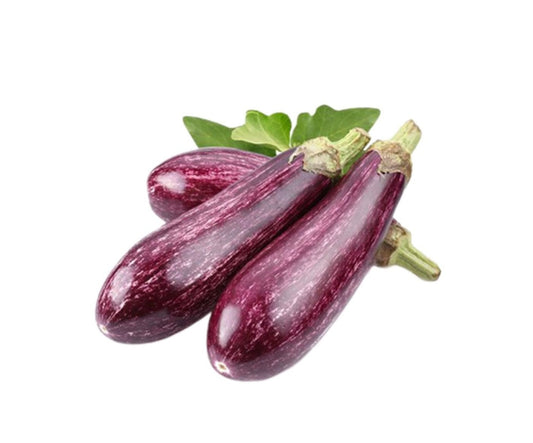 STRIPED REVIYA AUBERGINE