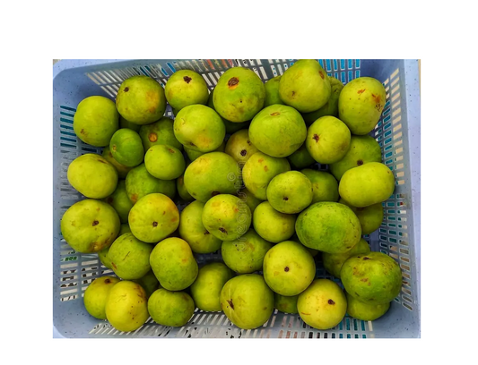 TINDA BOX