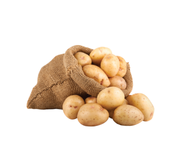 MIDI WASH POTATO BOX 10KG