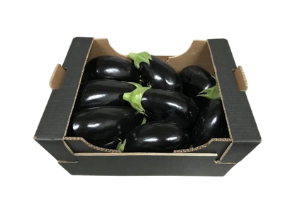 AUBERGINE REVIYA K BOX