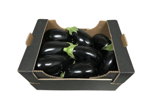 AUBERGINE REVIYA K BOX