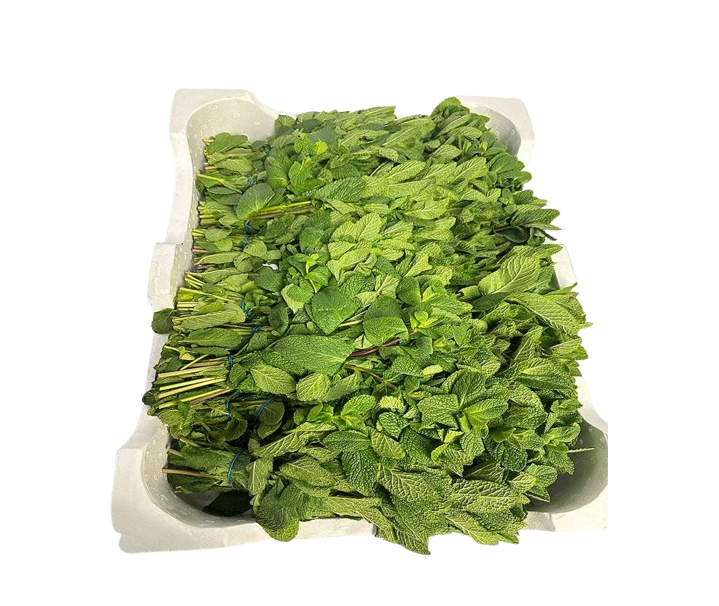 MINT/ PUDINA BOX 20 BUNCHES