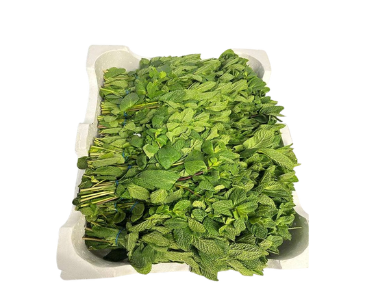 MINT/ PUDINA BOX 20 BUNCHES
