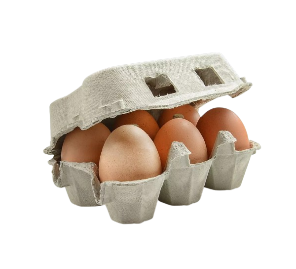 EGGS LARGE 6PK