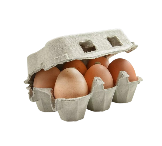 EGGS LARGE 6PK