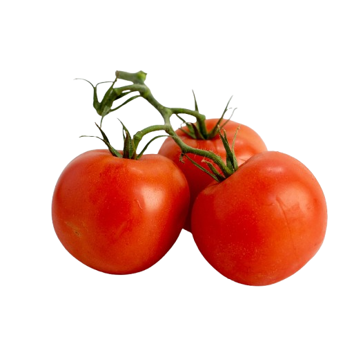 TOMATO VINE