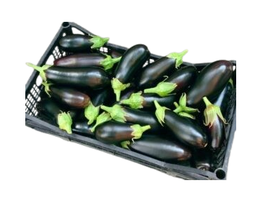 DUTCH AUBERGINE BOX