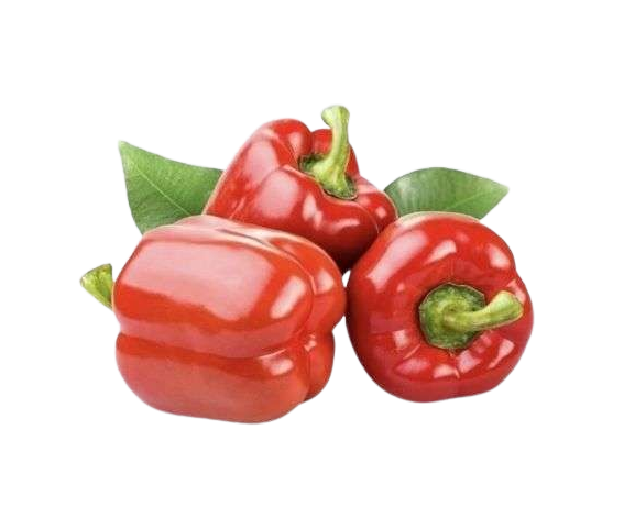 CAPSICUM RED
