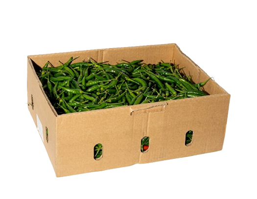 ROCKET/BIRDS EYE  CHILLI SMALL BOX