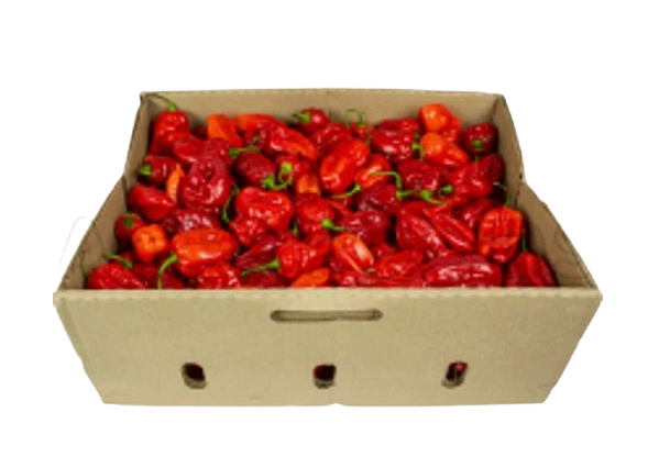 HOT PEPPER BOX