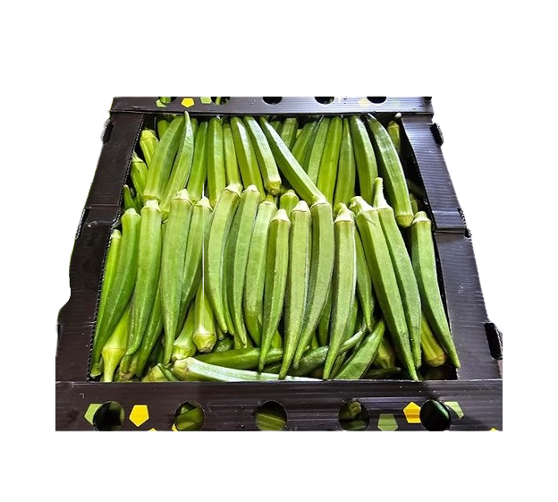BHINDI (OKRA) BOX 4KG