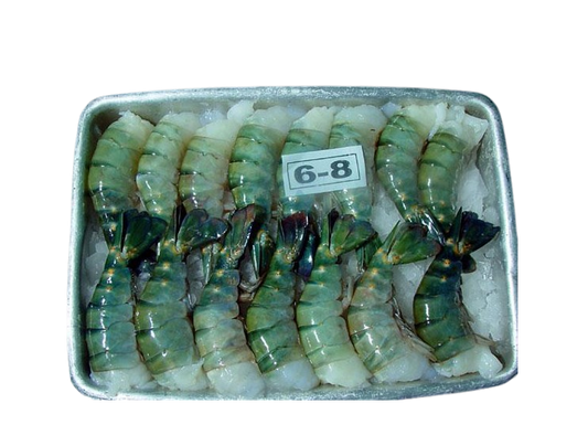 IBCO KING PRAWN 6/8 BLOCK 750g