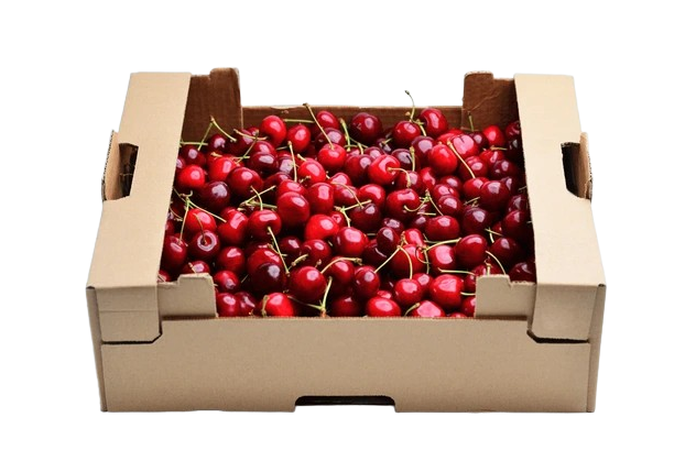 CHERRY BOX 2.5kg