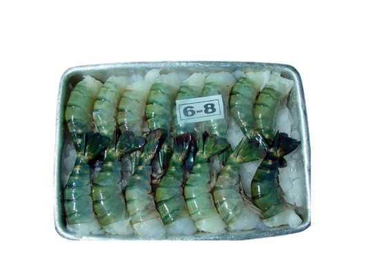 TIGER KING PRAWNS 6/8 BLOCK 700G