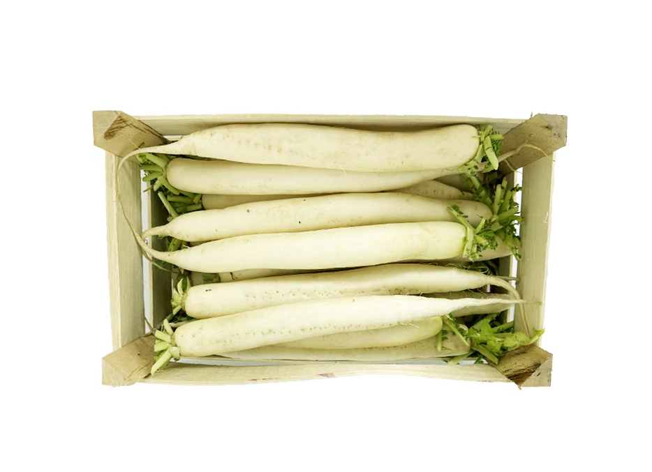 MOOLI BOX