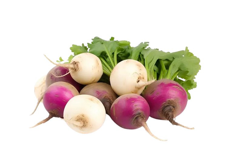 TURNIP