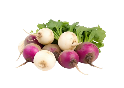 TURNIP