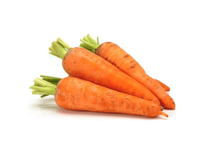 CARROTS