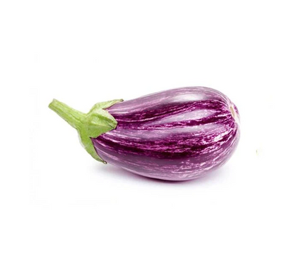 STRIPED REVIYA AUBERGINE