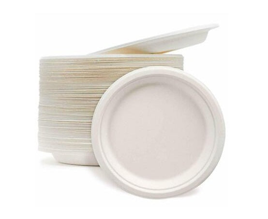 PARTY WORLD BIODEGRADABLE 9" PLATES 50PK