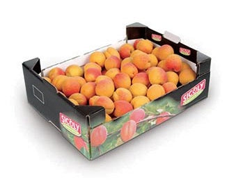 APRICOT BOX 5KG
