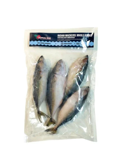 C/F Indian Mackerel 800g