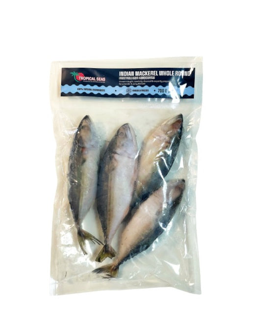 C/F INDIAN MACKEREL 800G