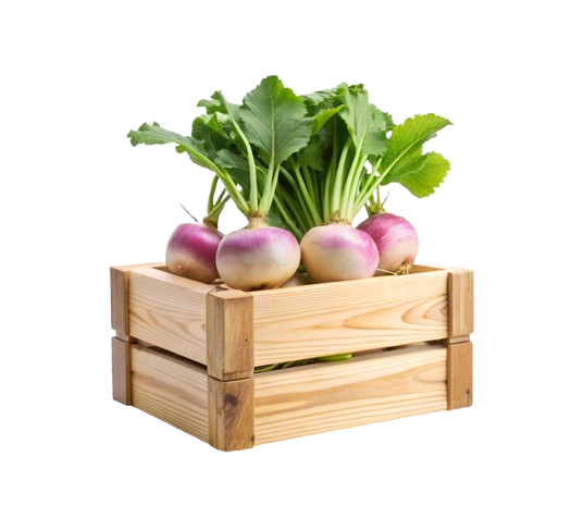 TURNIP BAG