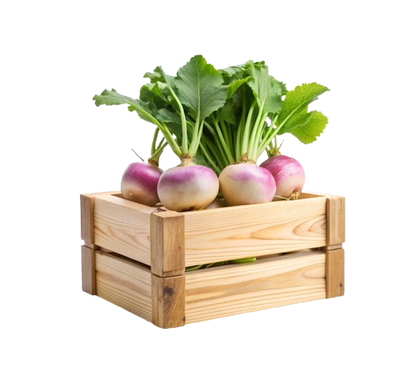 TURNIP BAG